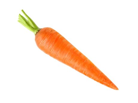 Arándano
