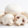Champiñón blanco