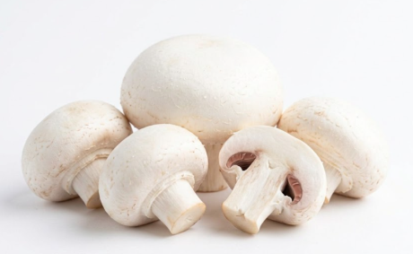Champiñón blanco