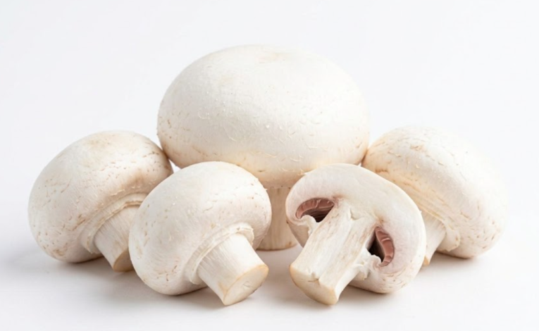 champiñón blanco