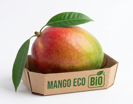 MANGO ECO