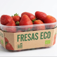 Fresas Tarrina ECO